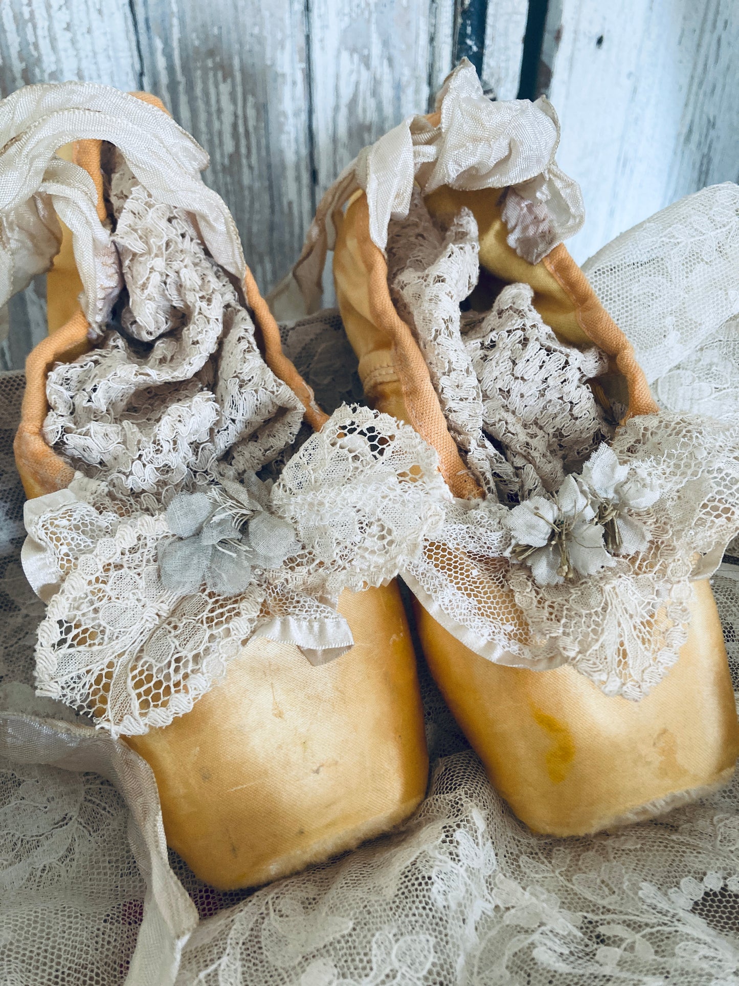 Golden pointes