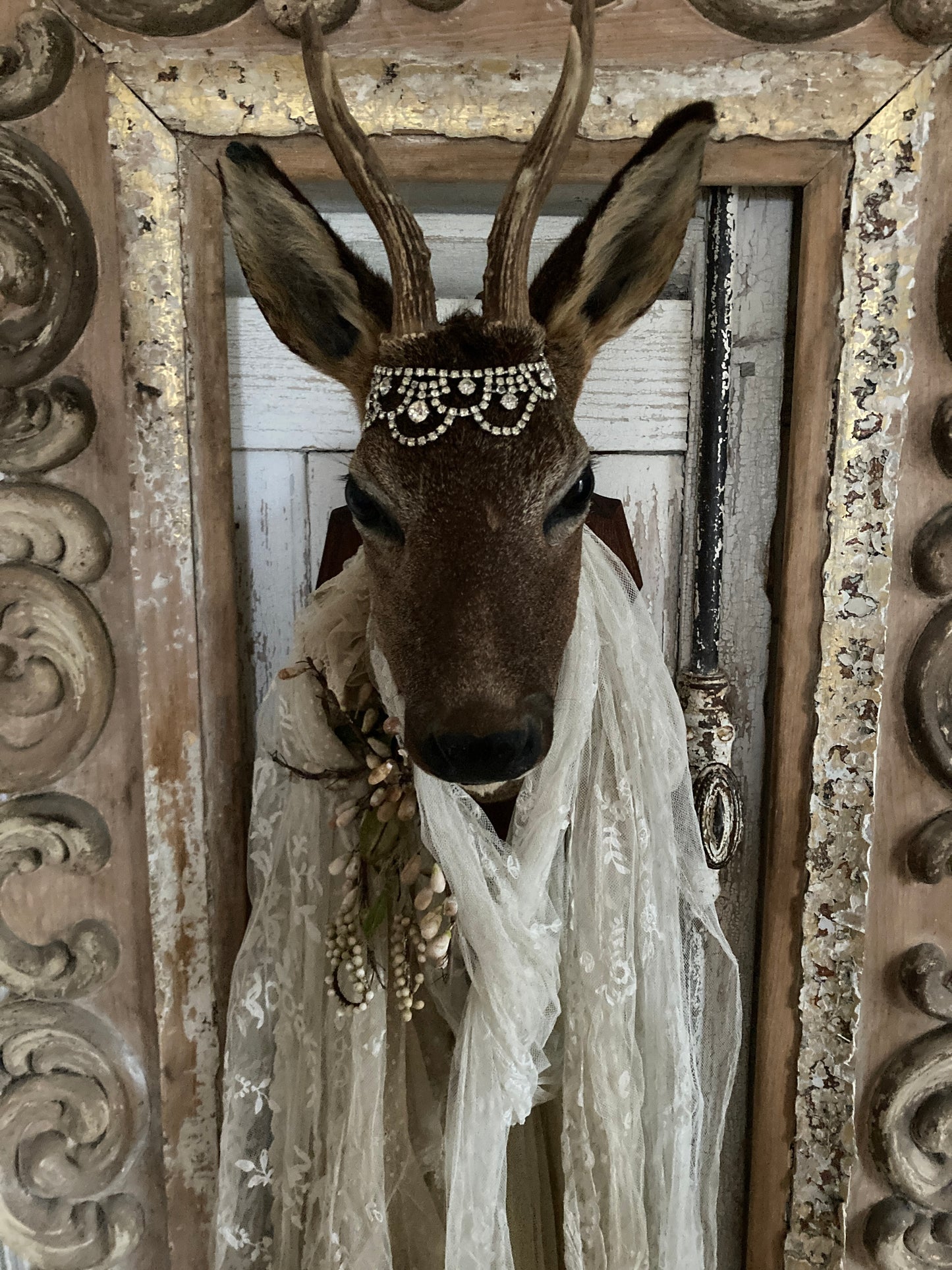 Charming French taxidermy deer.