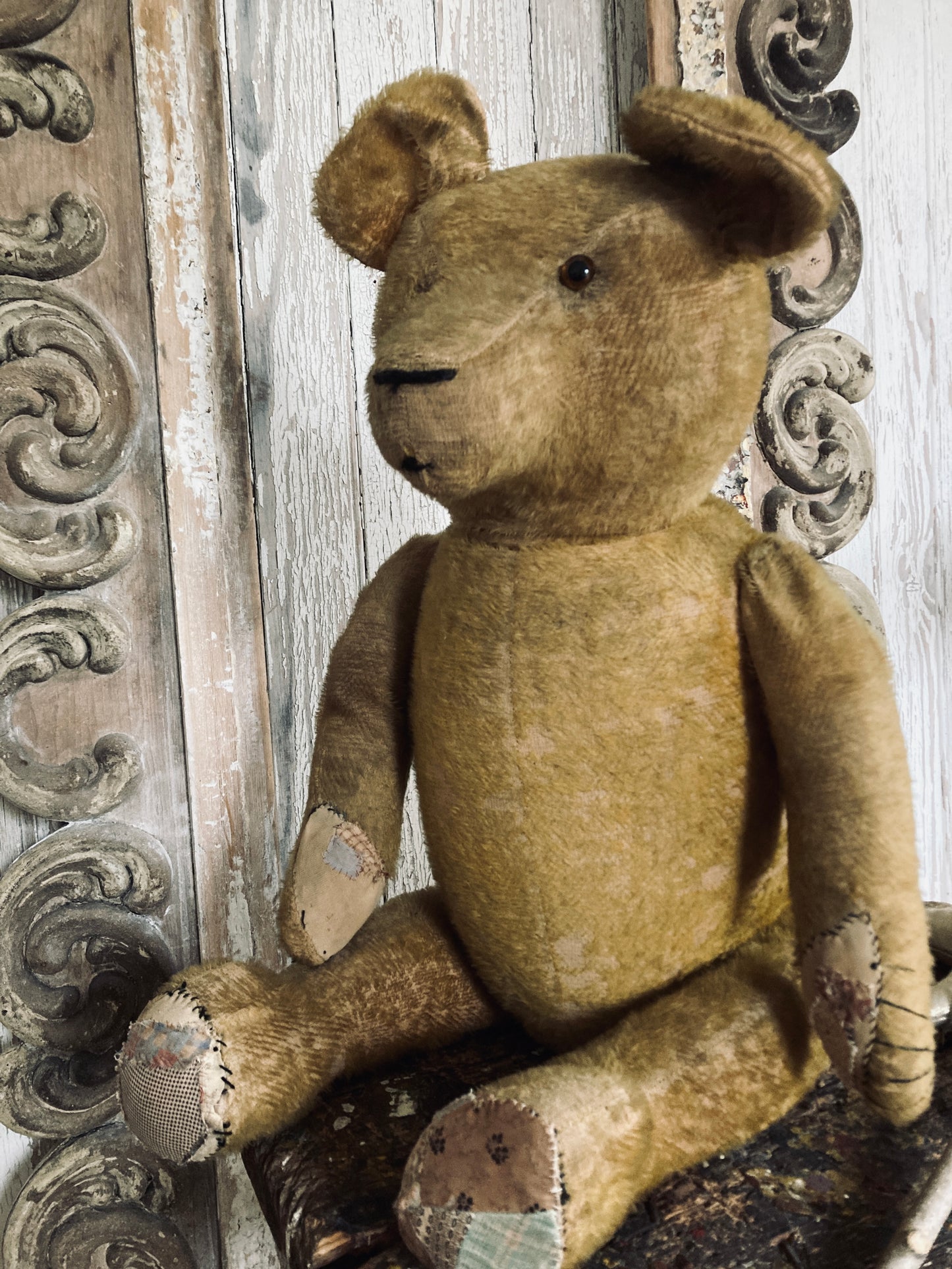 Large antique bear with star.