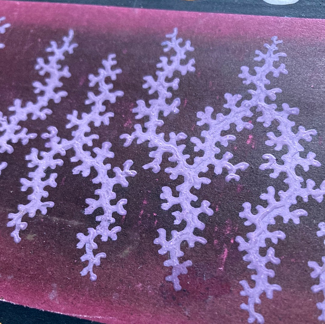 Purple border