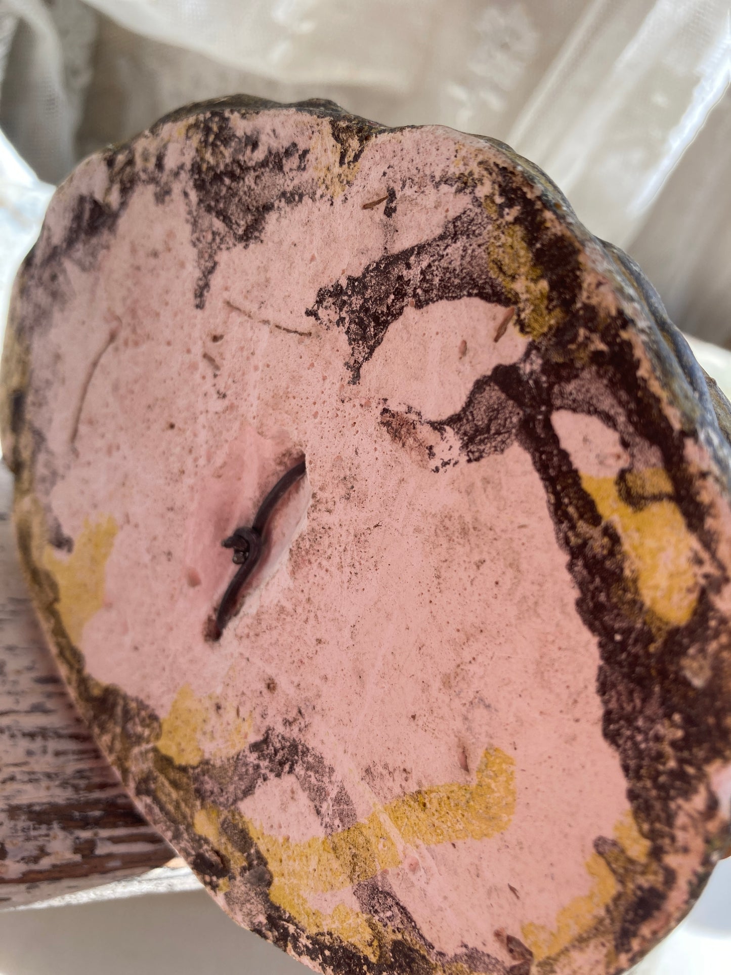 Taxidermy sweet little grouse.