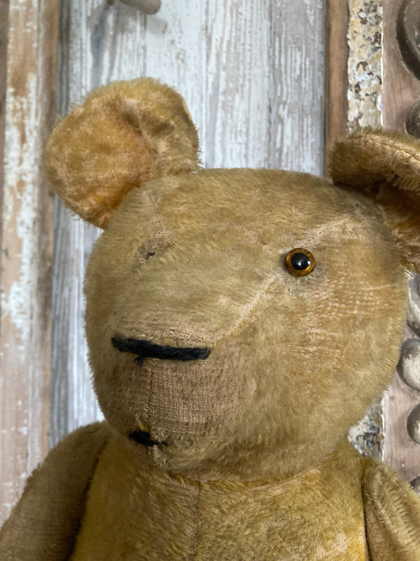 Large antique bear with star.