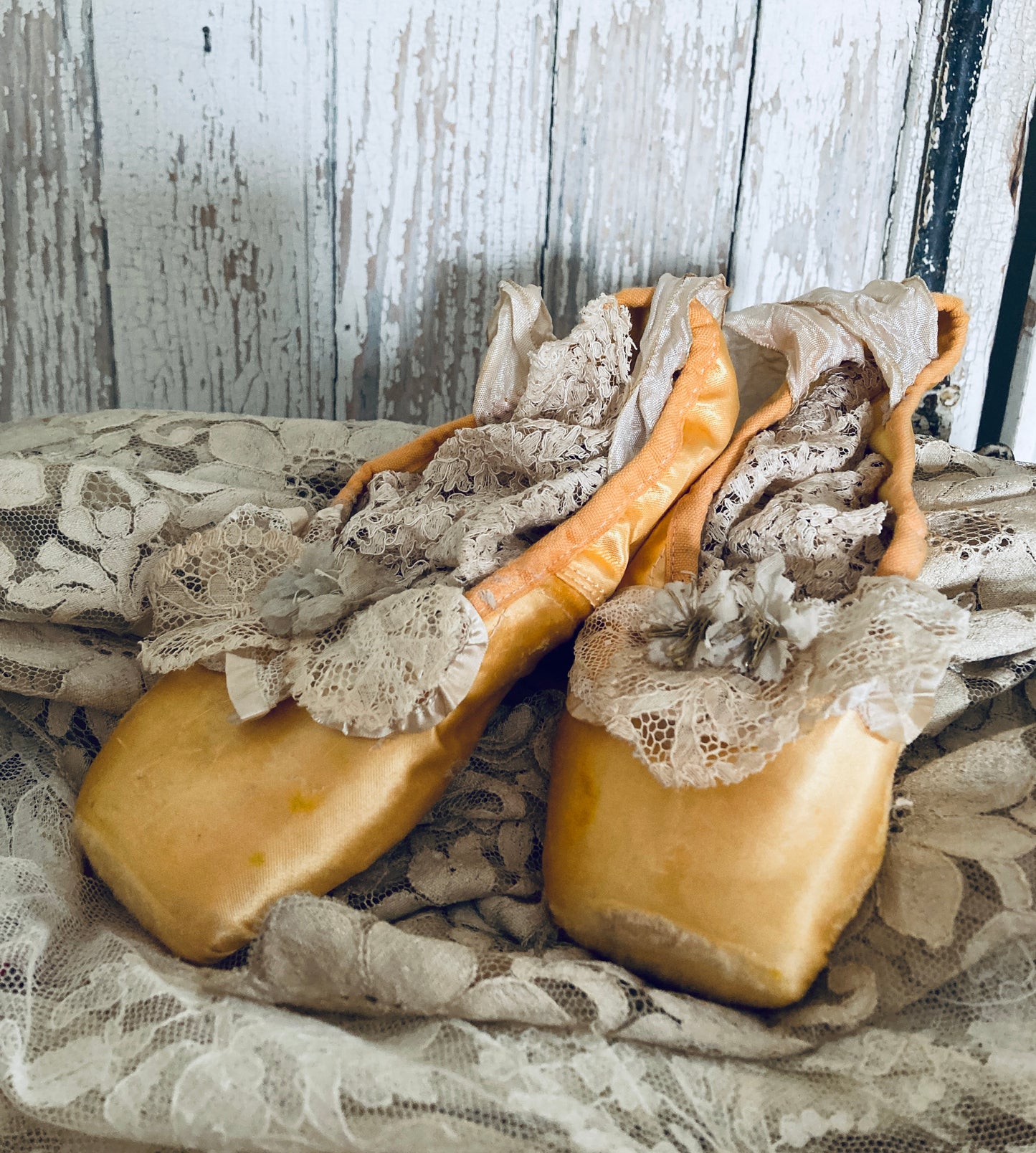 Golden pointes