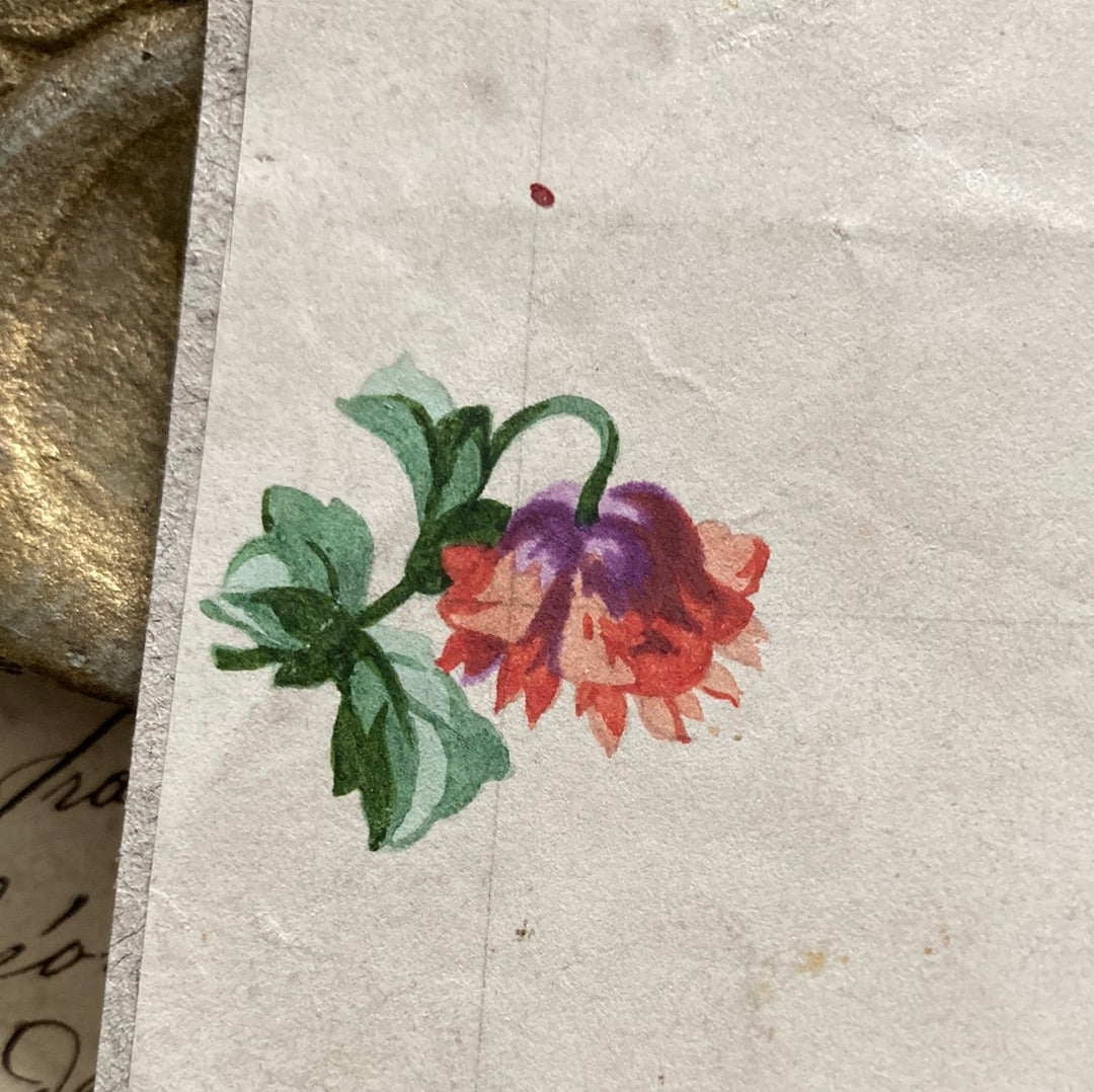 Unfinished tulips