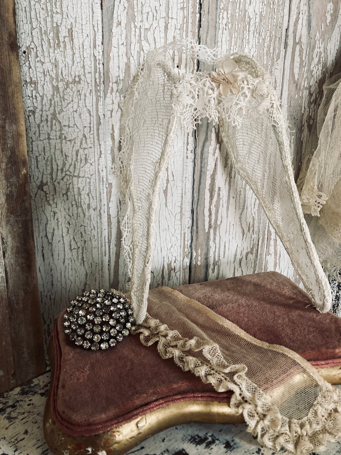 Antique lace wings