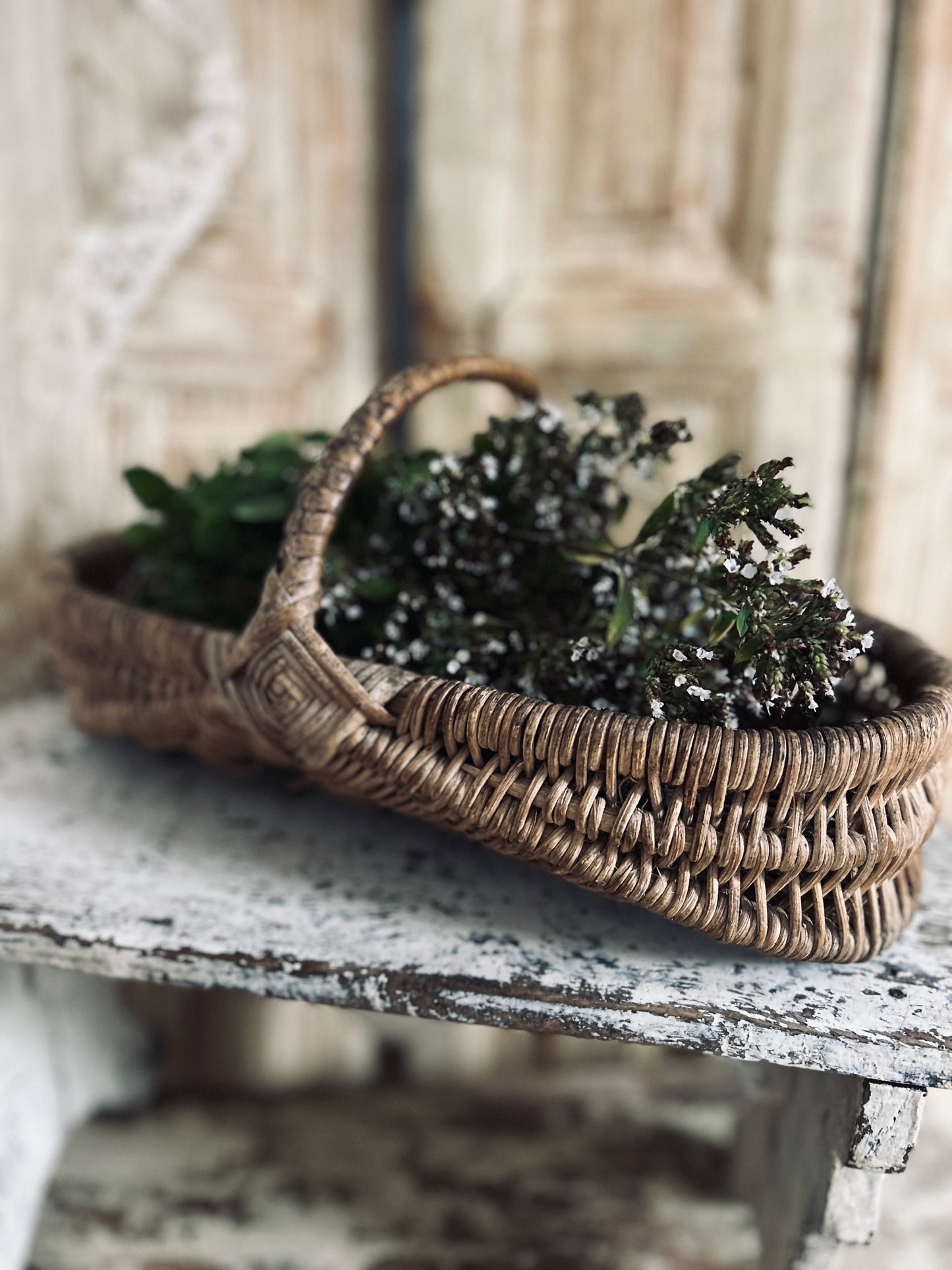 French herb basket