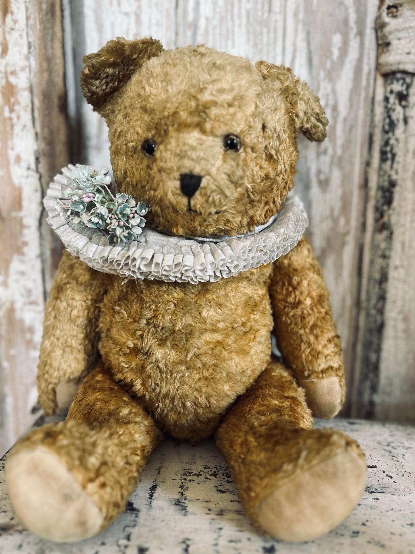 Vintage teddy bear (Bertie)