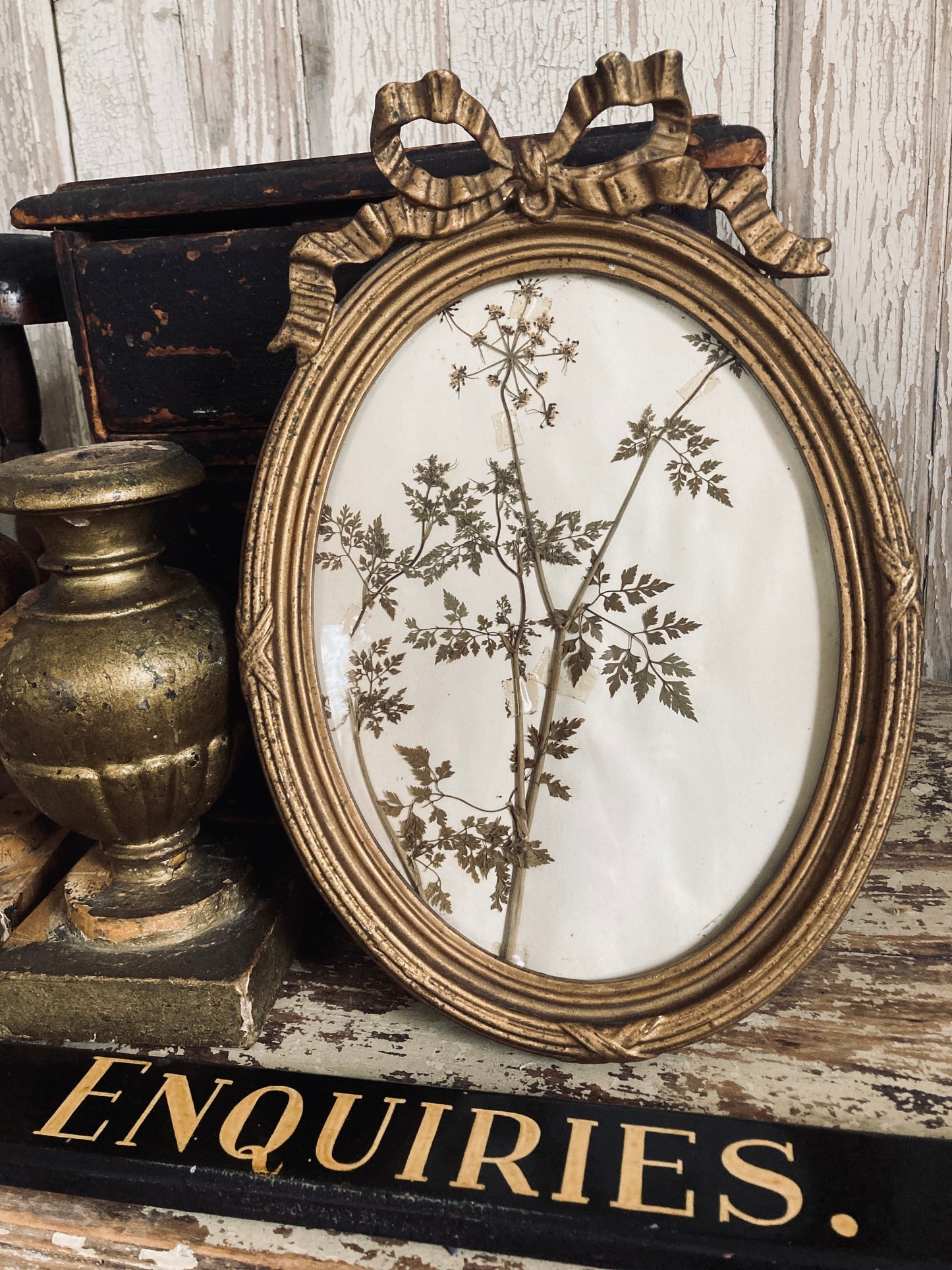 Nineteenth century french frame/ herbier