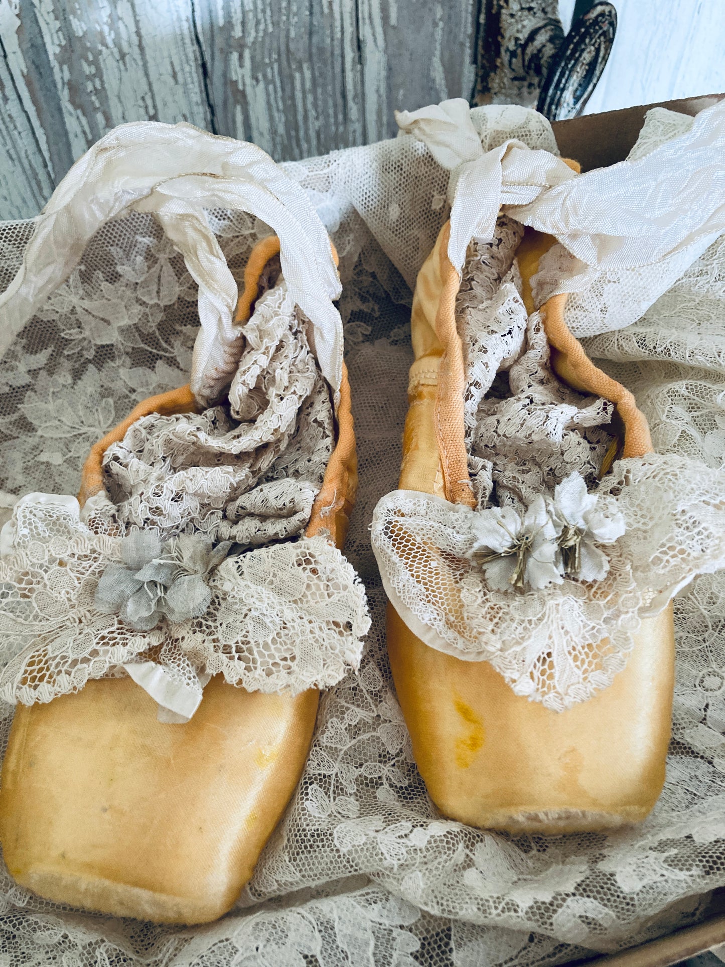 Golden pointes