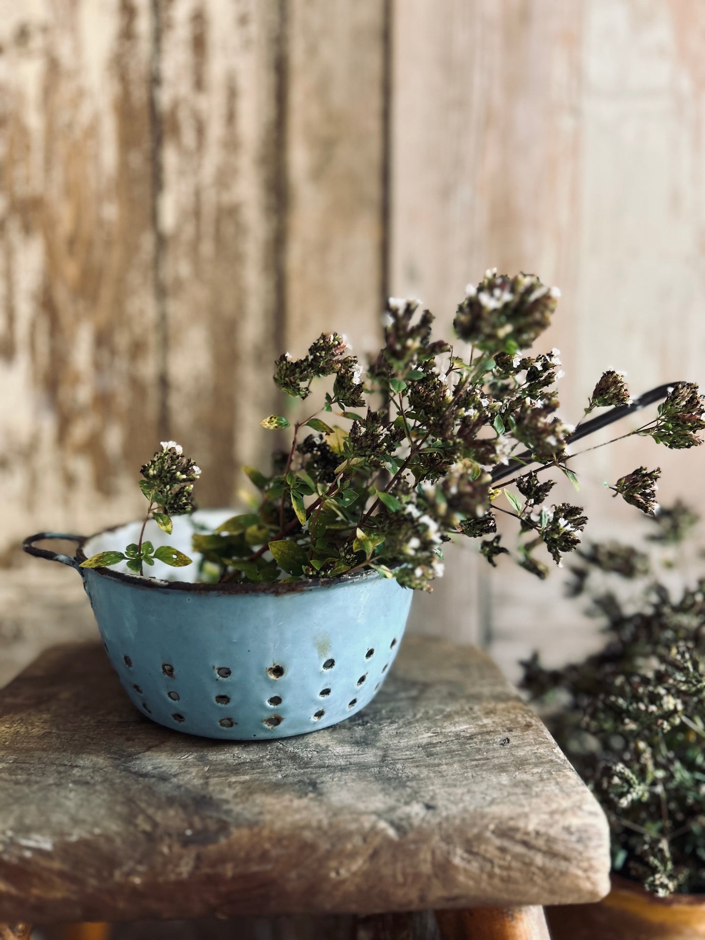 Blue French enamel strainer