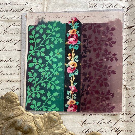 Roses border