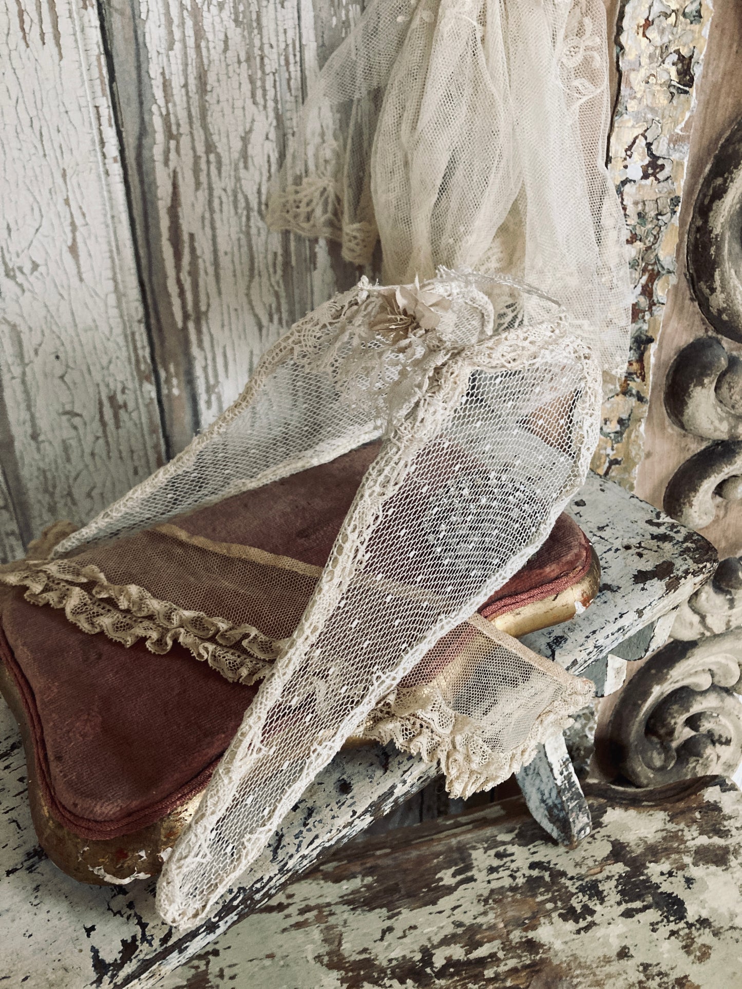 Antique lace wings