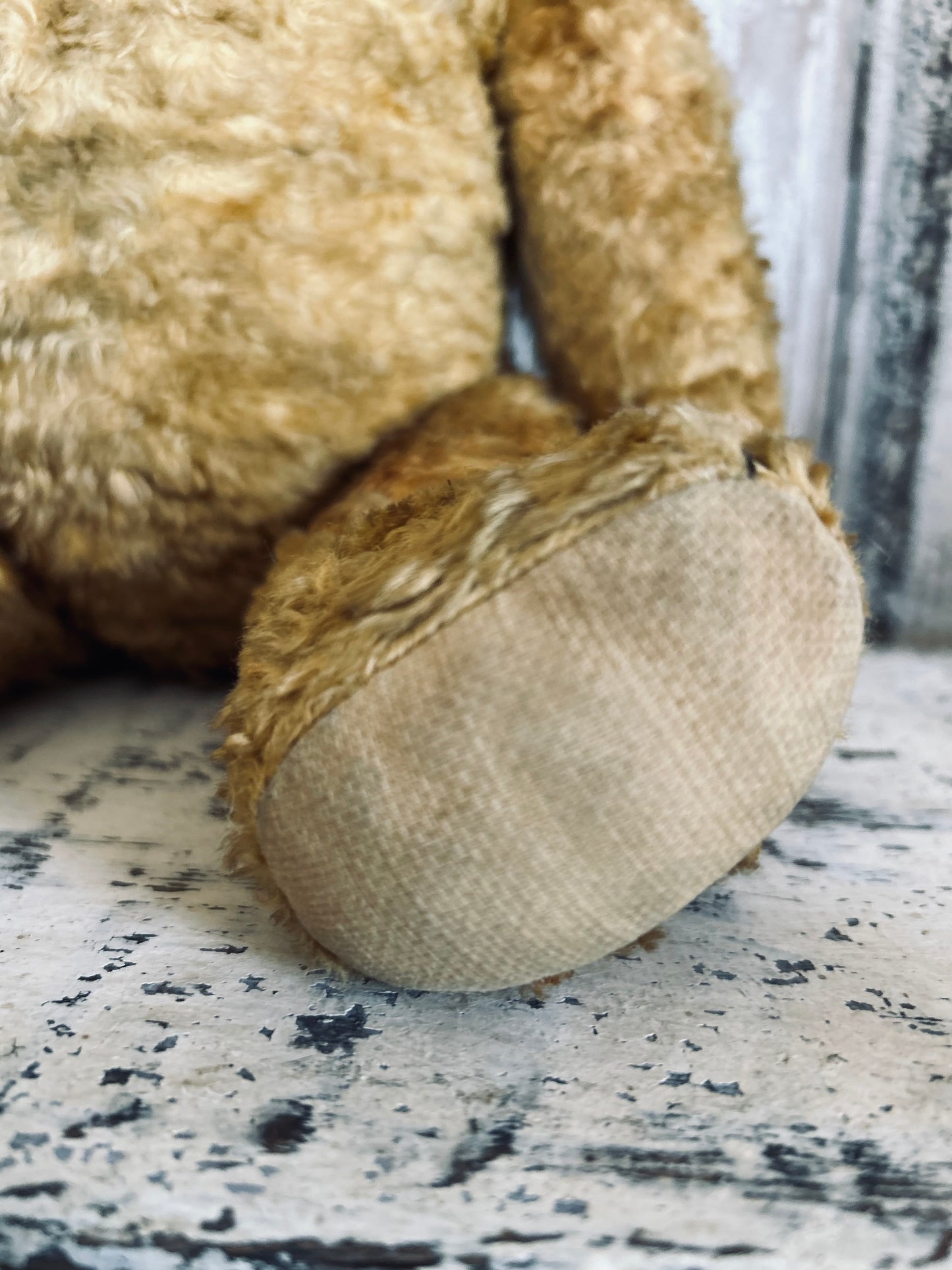 Vintage teddy bear (Bertie)