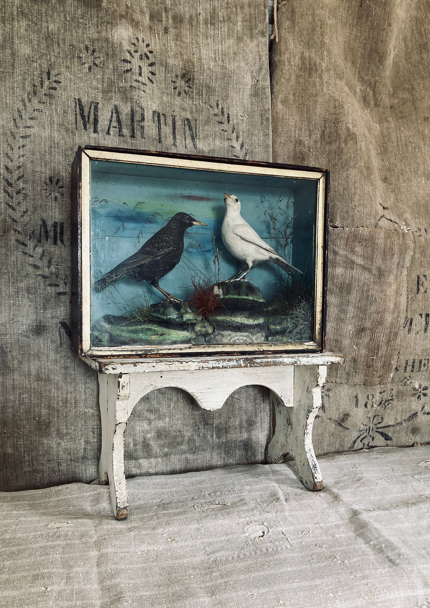 Victorian cased birds