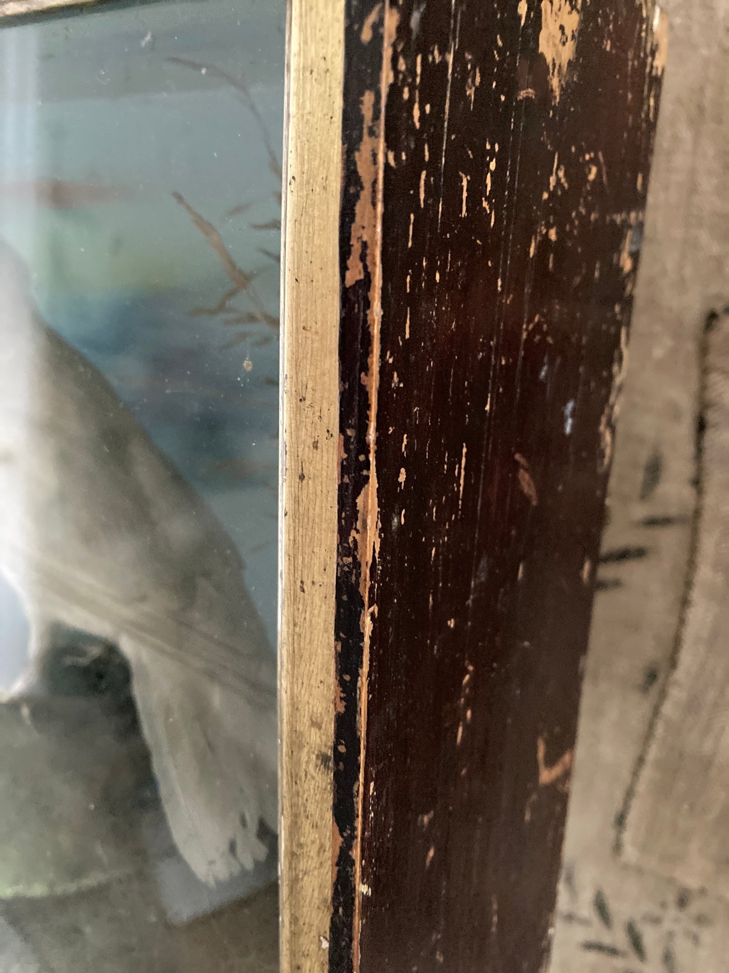 Victorian cased birds