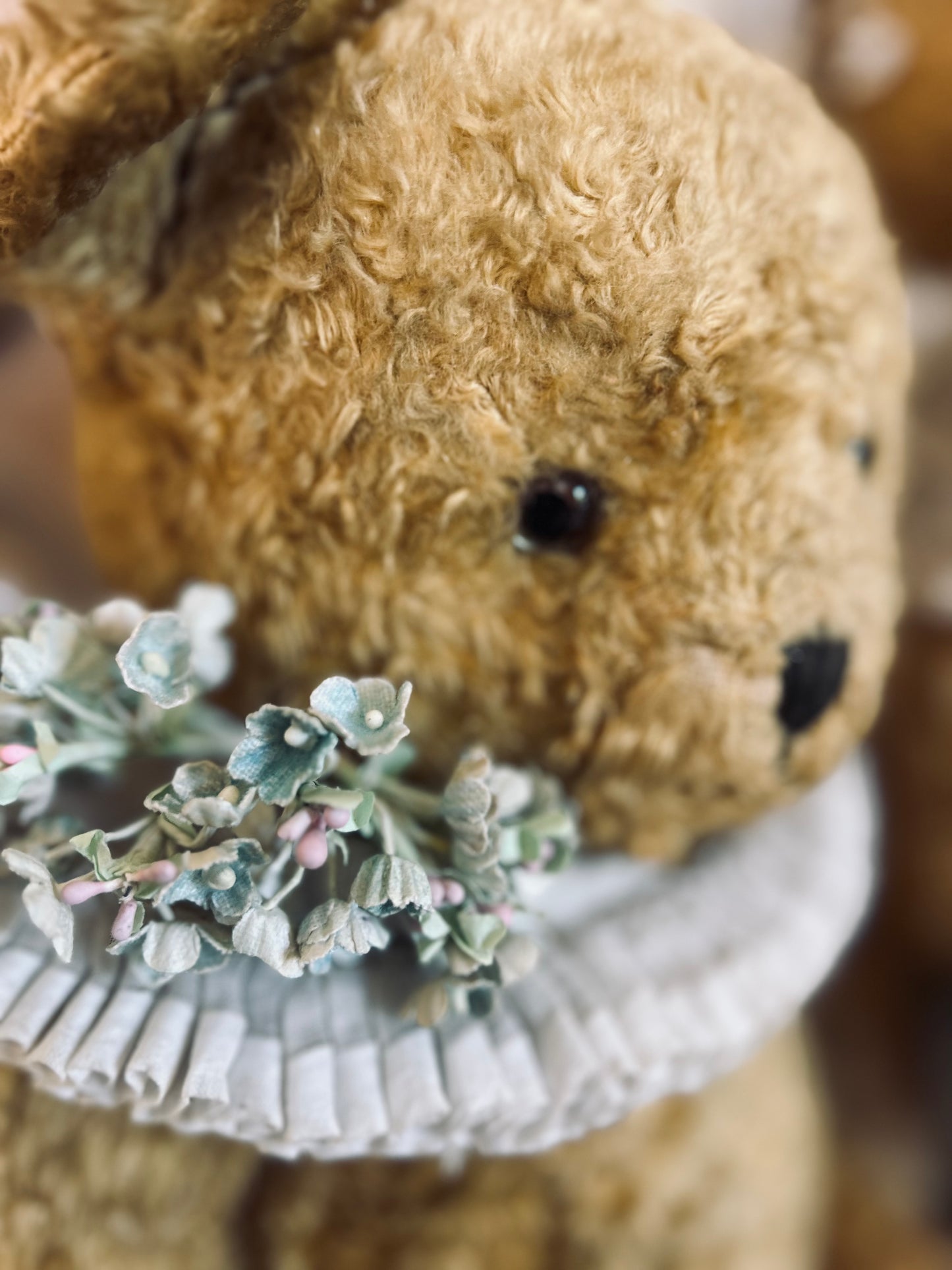 Vintage teddy bear (Bertie)