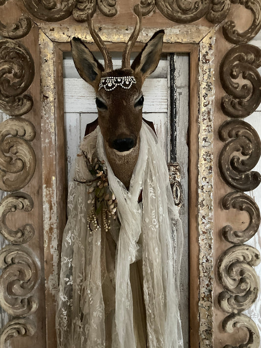 Charming French taxidermy deer.