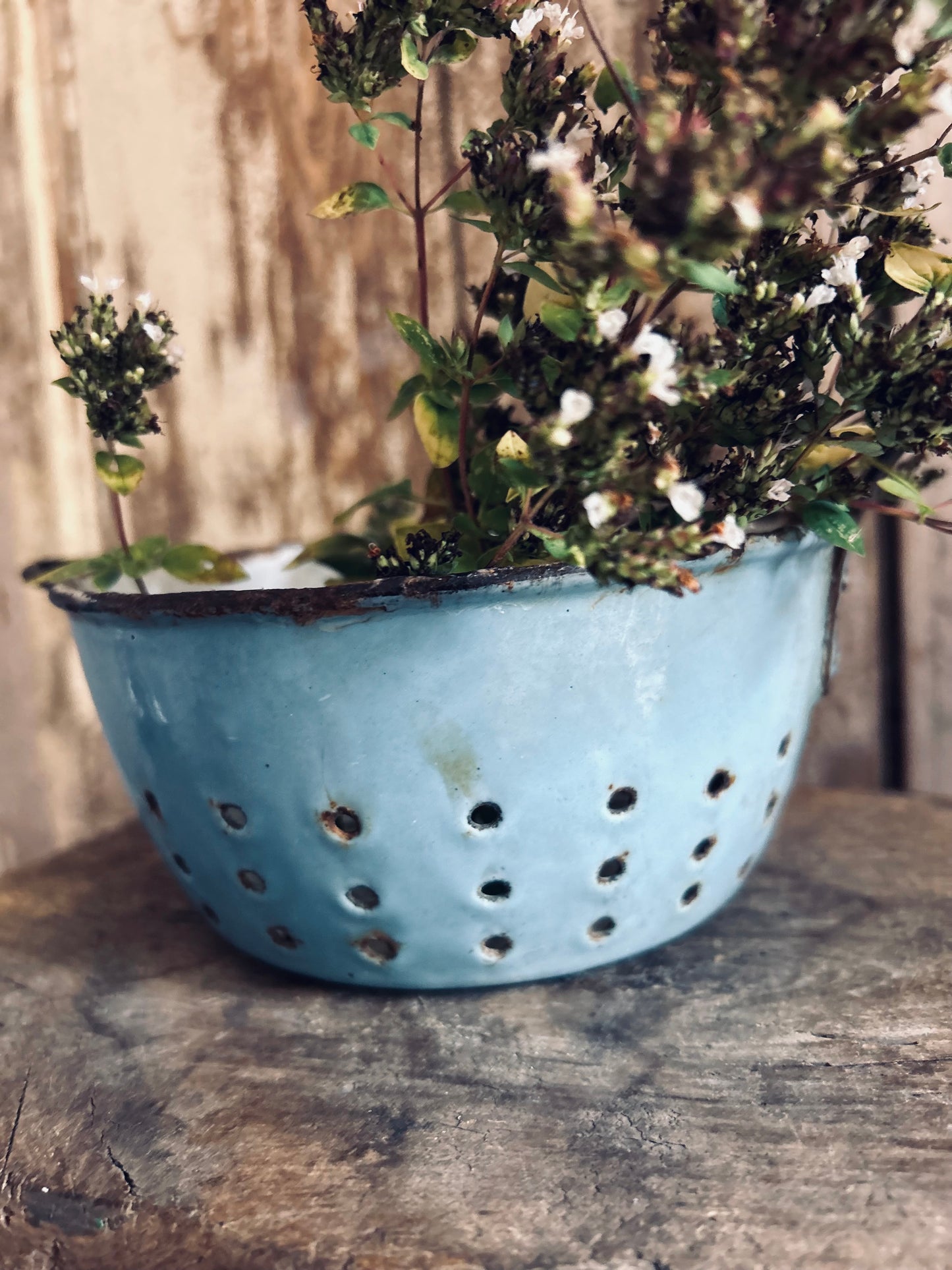 Blue French enamel strainer