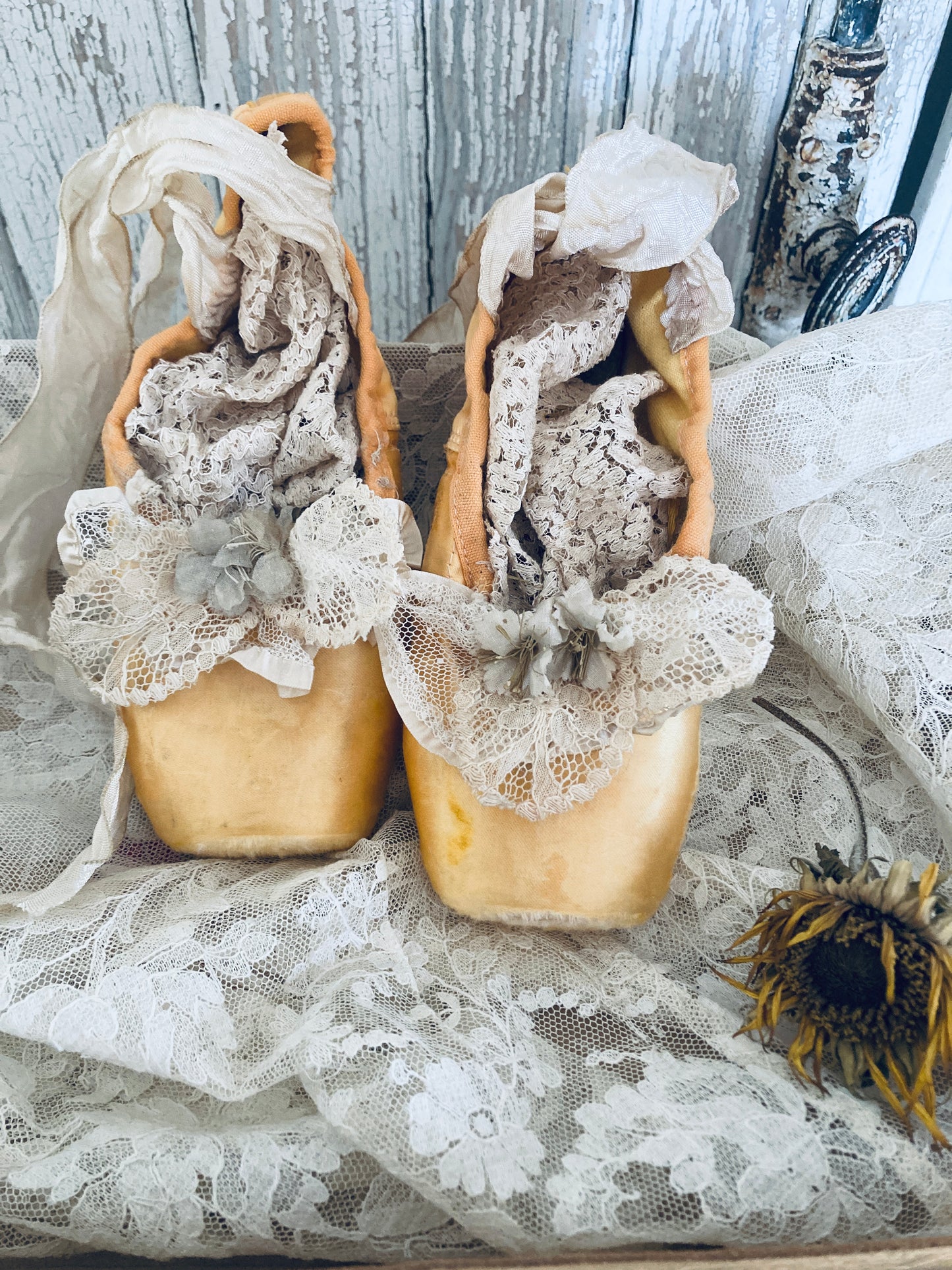 Golden pointes