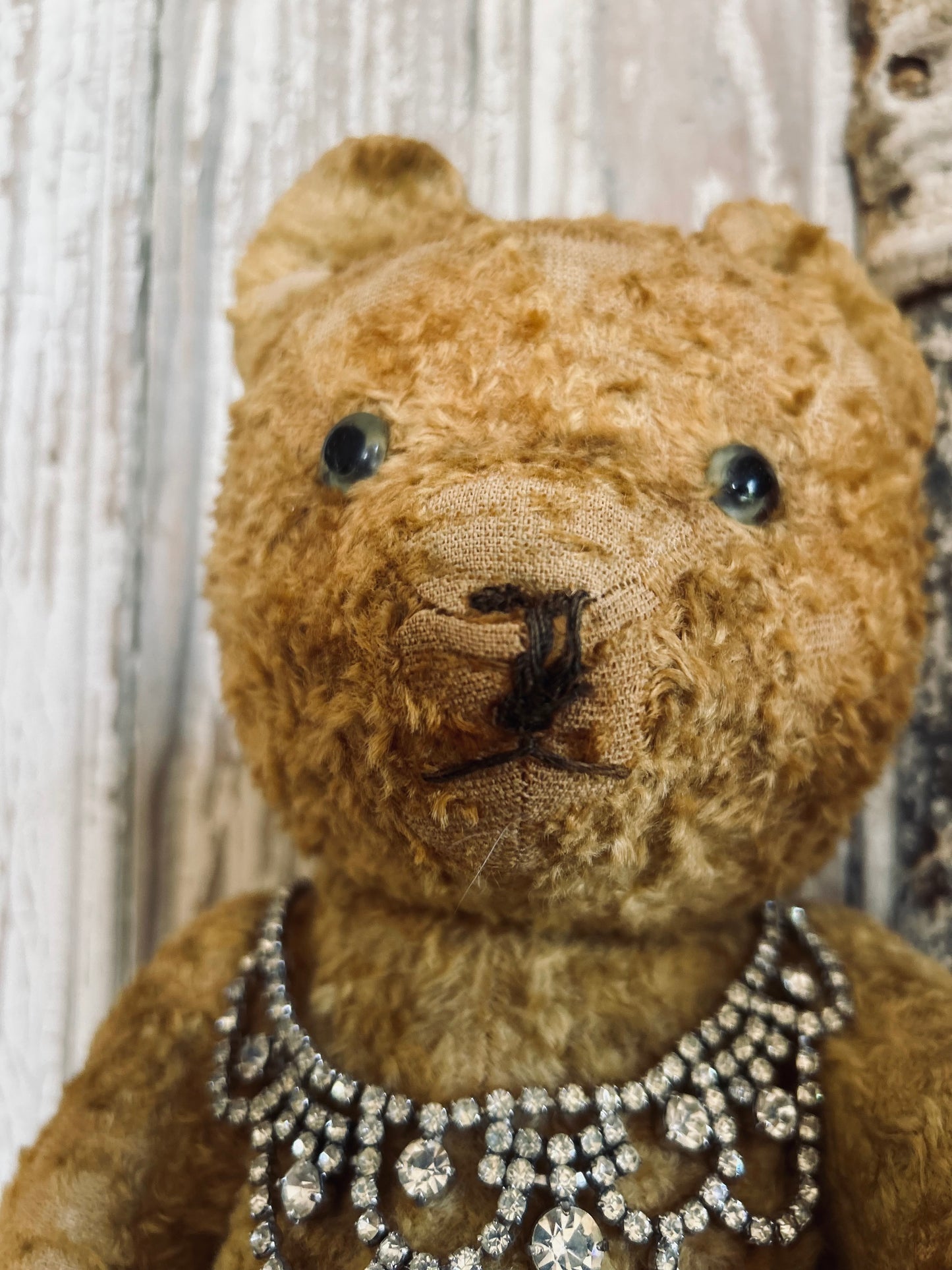 Vintage teddy bear (Charlie)