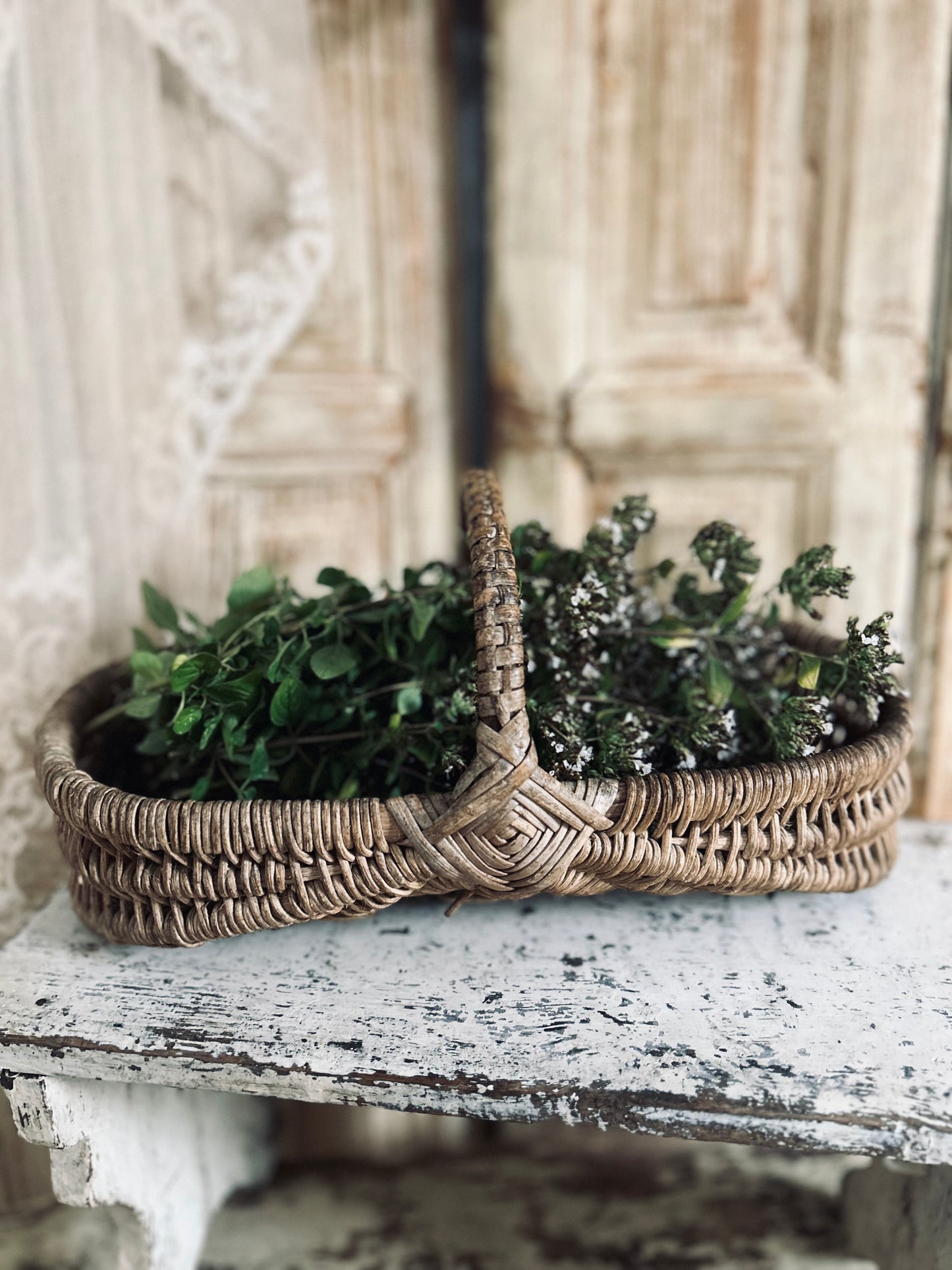 French herb basket