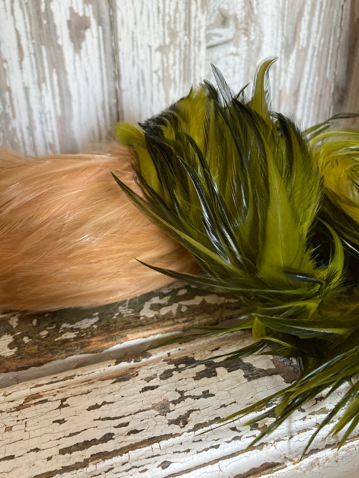 Three Paris millinery feather bands