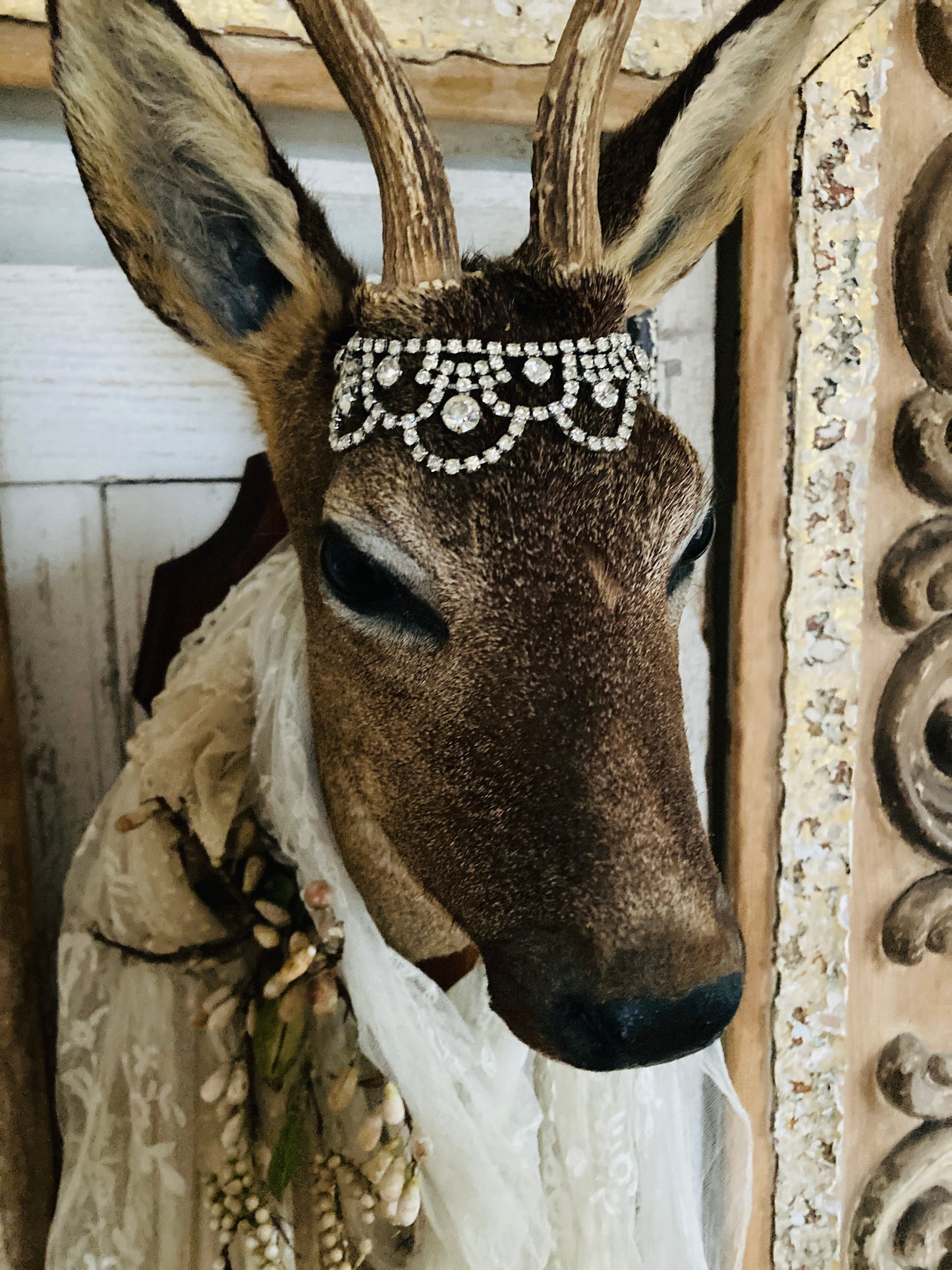 Charming French taxidermy deer.