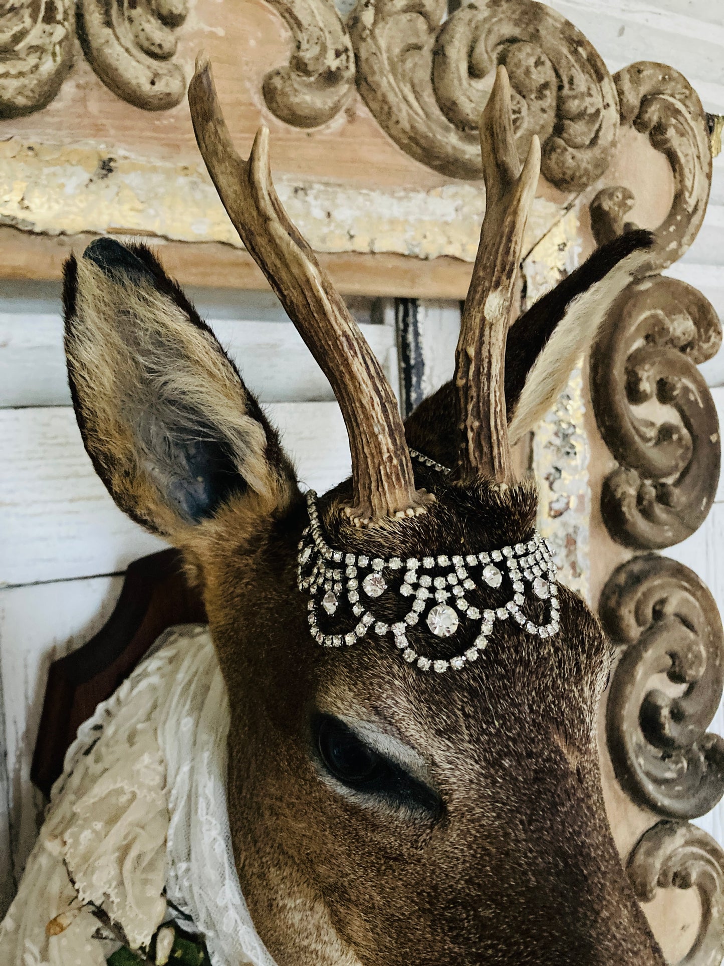 Charming French taxidermy deer.