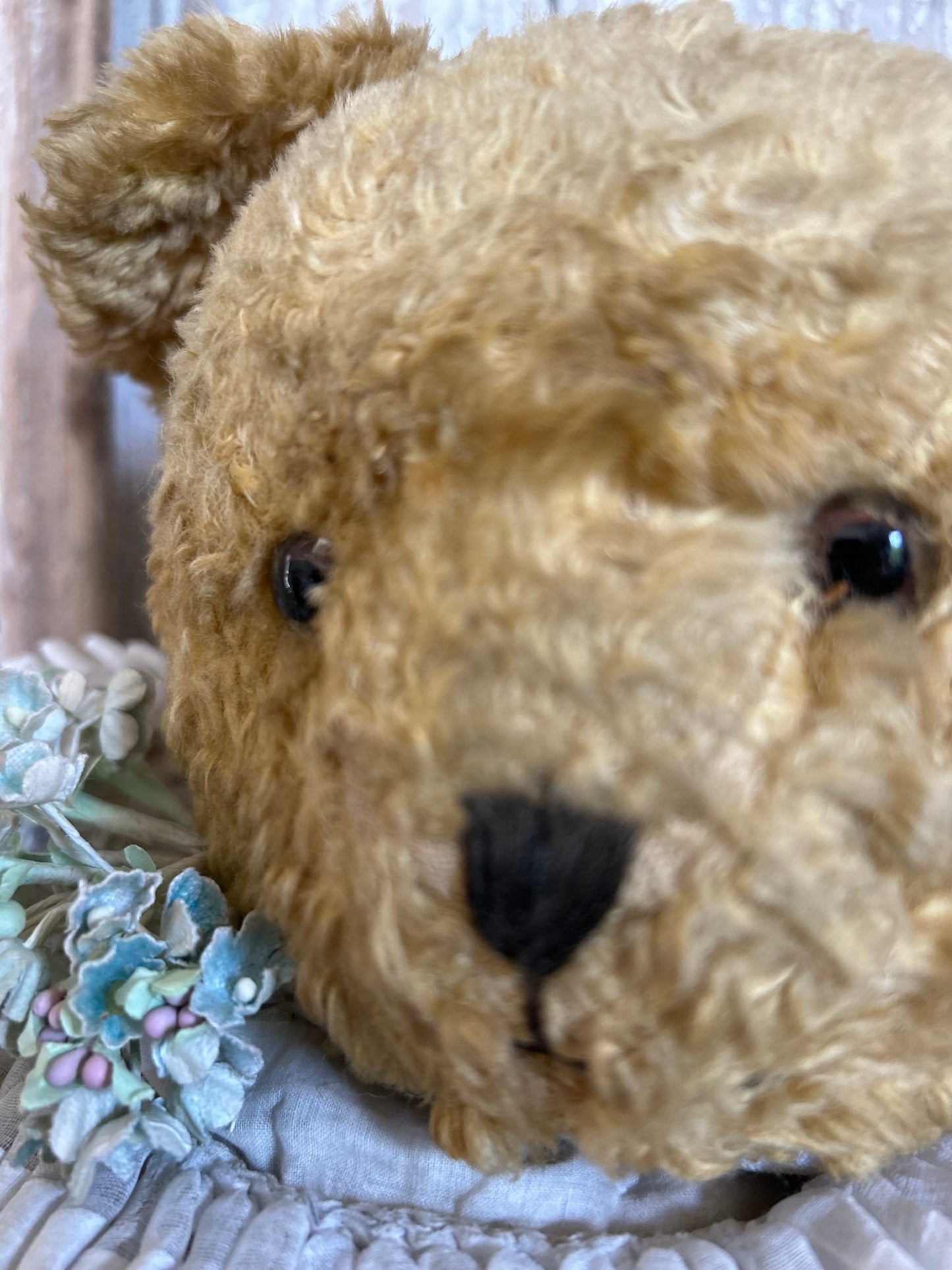 Vintage teddy bear (Bertie)