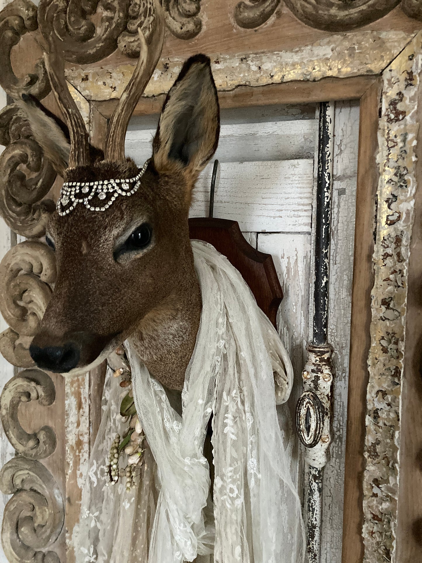 Charming French taxidermy deer.