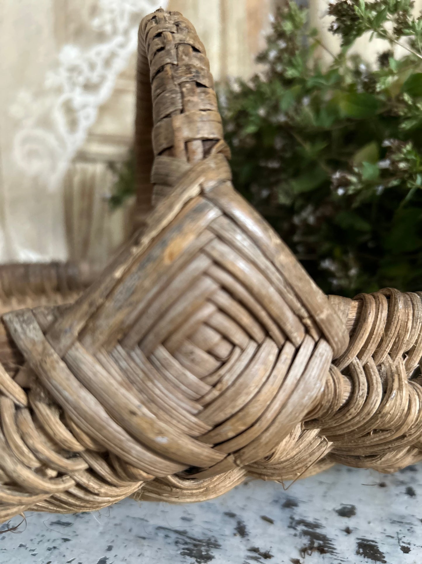 French herb basket