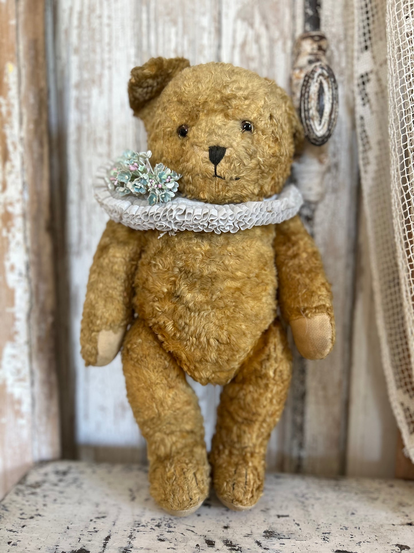 Vintage teddy bear (Bertie)
