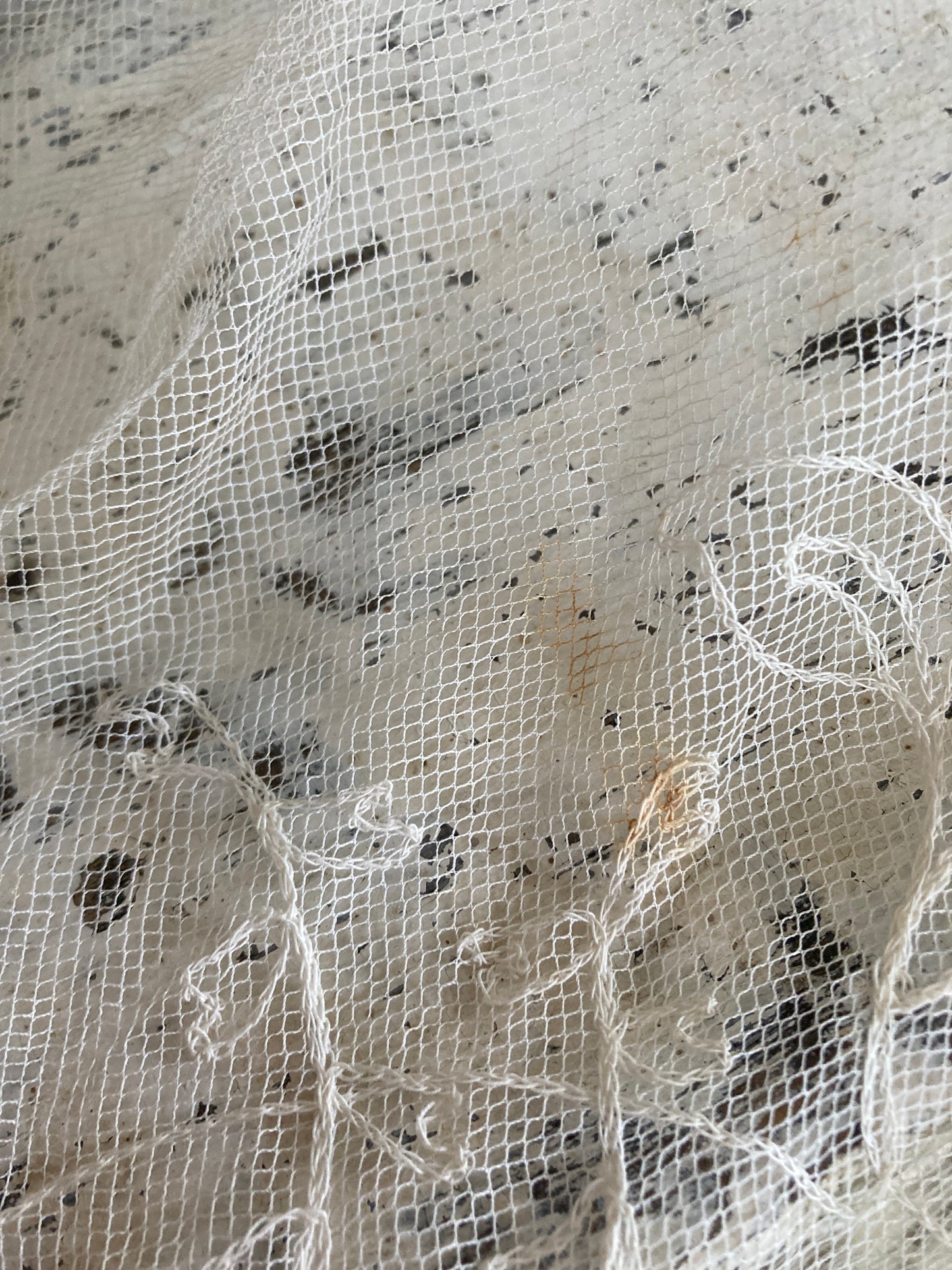 Fine tulle lace veil