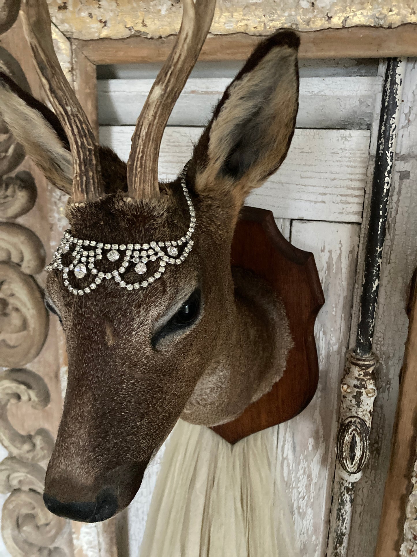 Charming French taxidermy deer.