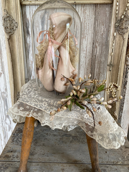Ballet pointes in glass dome.