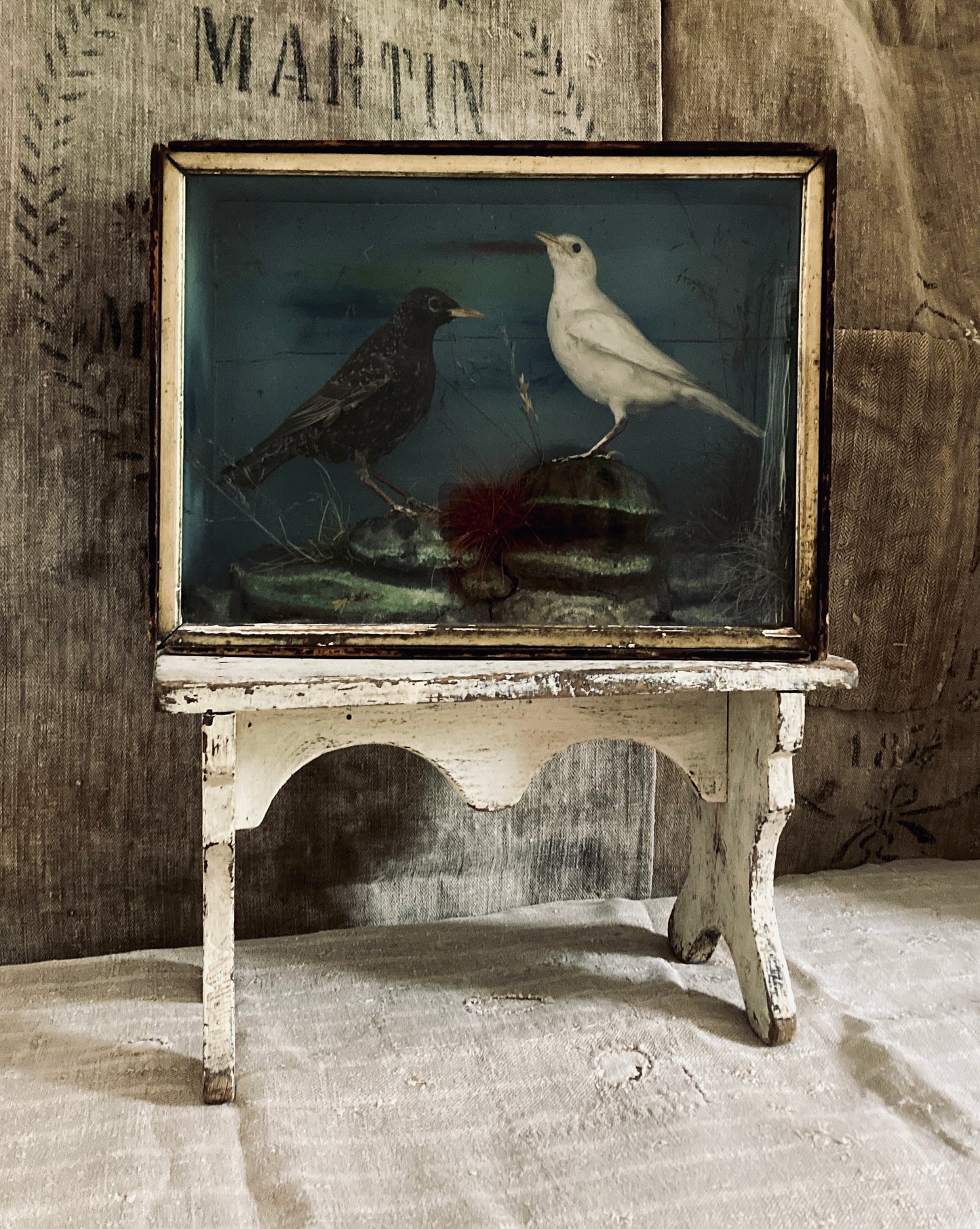 Victorian cased birds